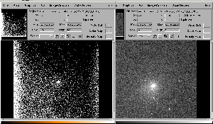 Faulkes Telescope images of Comet Tempel 1 before and after the impact