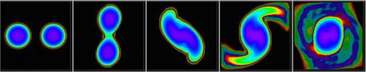 Coalescing neutron stars