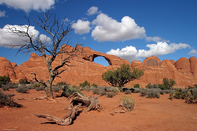 Arches National Park