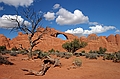 Arches National Park
