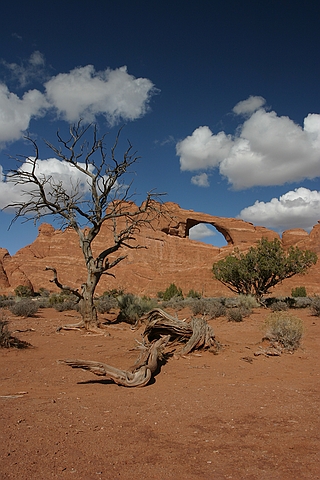 Arches National Park