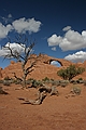 Arches National Park