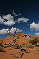 Arches National Park