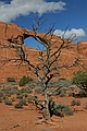 Arches National Park