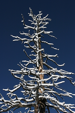 Bryce Canyon
