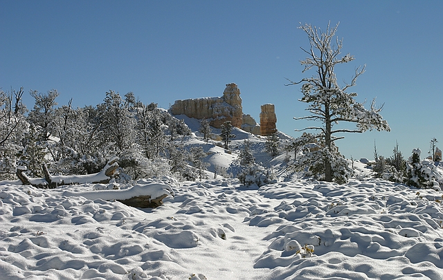 Bryce Canyon