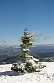 Bryce Canyon