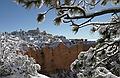 Bryce Canyon