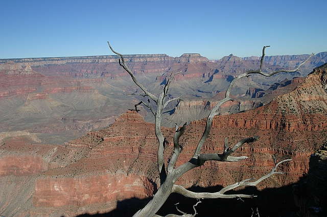 Grand Canyon