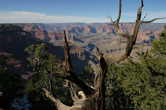 Grand Canyon