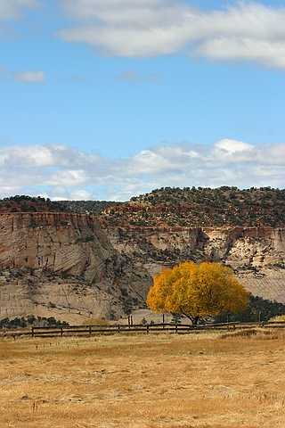 Boulder Mtn