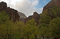 Zion NP