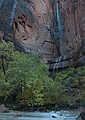 Zion NP