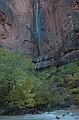 Zion NP