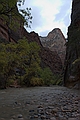 Zion NP