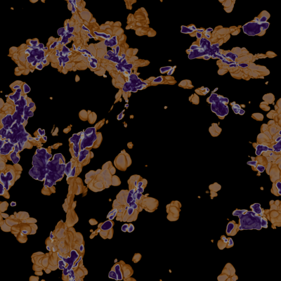 overdensity in
               the cosmic web