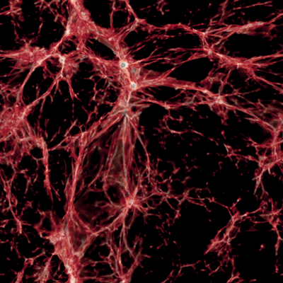 overdensity in
the cosmic web