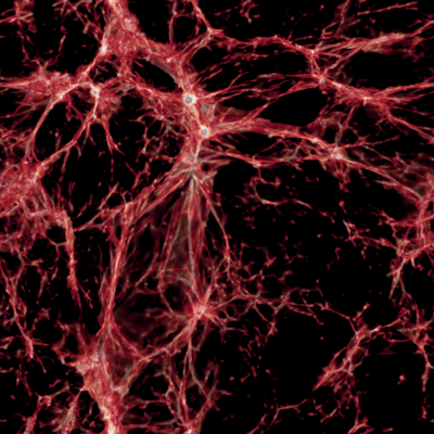 overdensity in
               the cosmic web