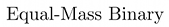 Equal-Mass Binary